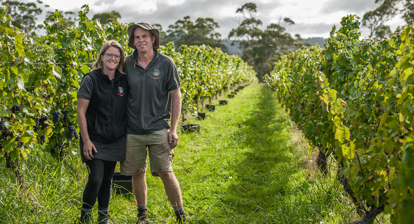 Holm Oak Vineyard